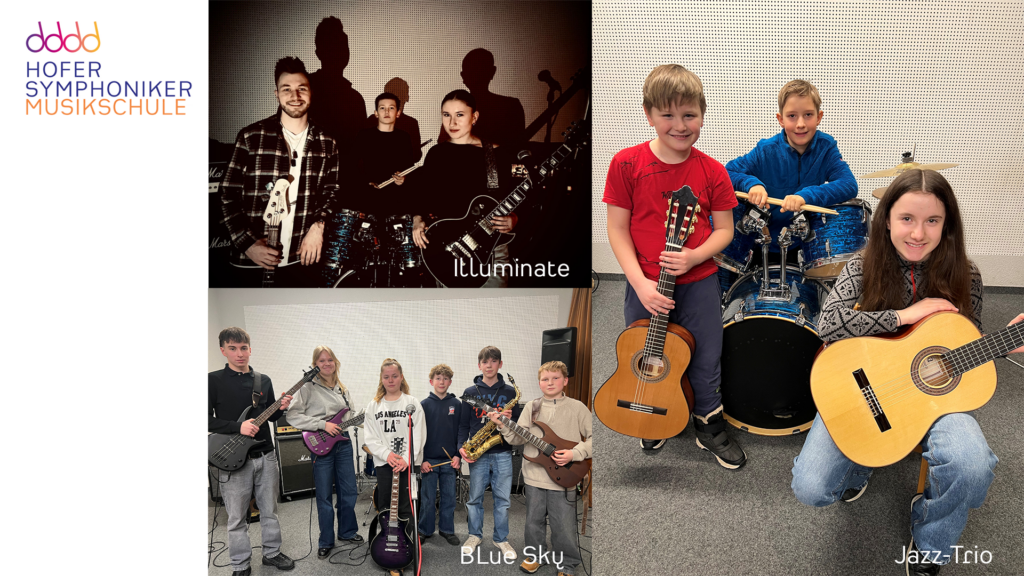 Musikschule der Hofer Symphoniker